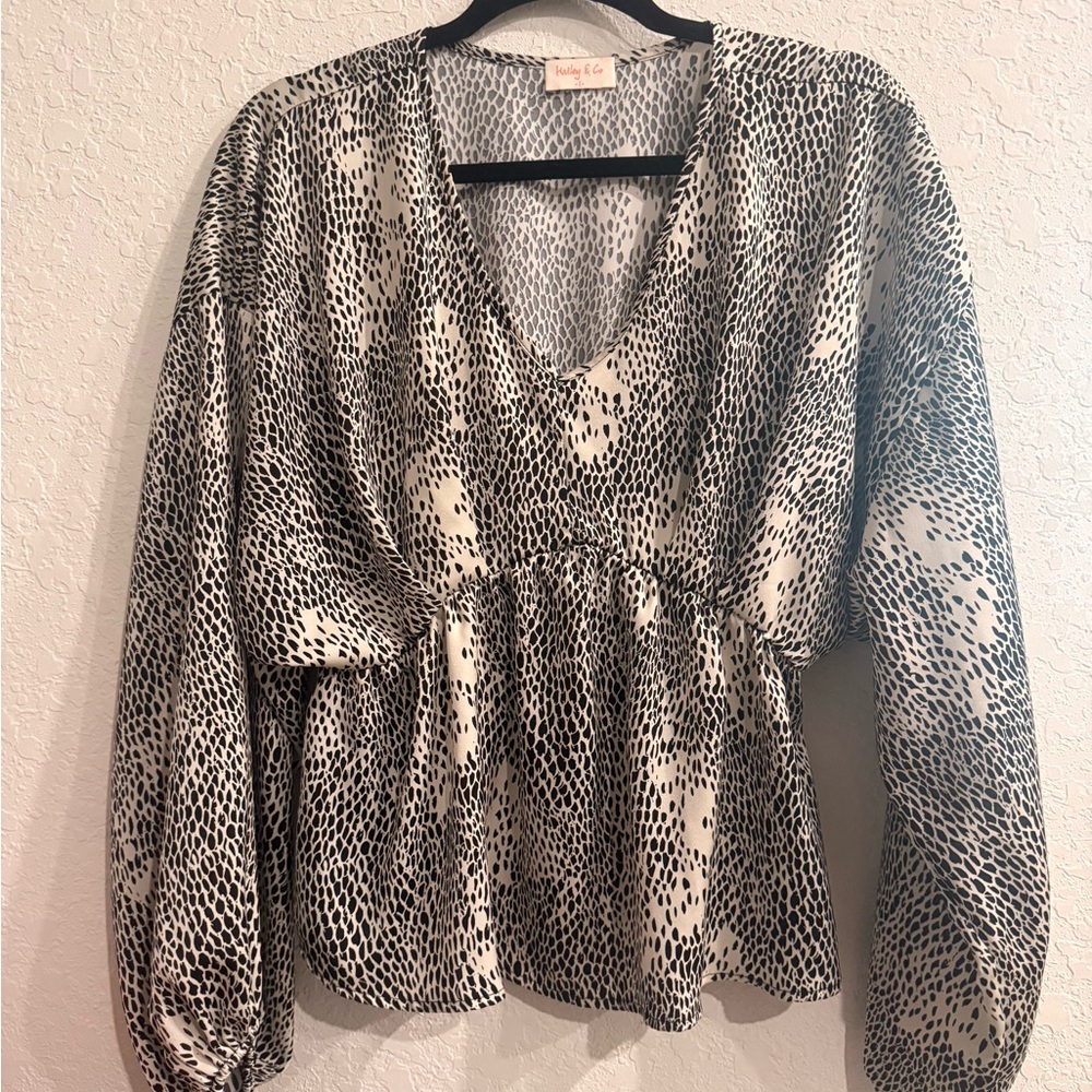 Hailey&co long sleeve formal silk shirt